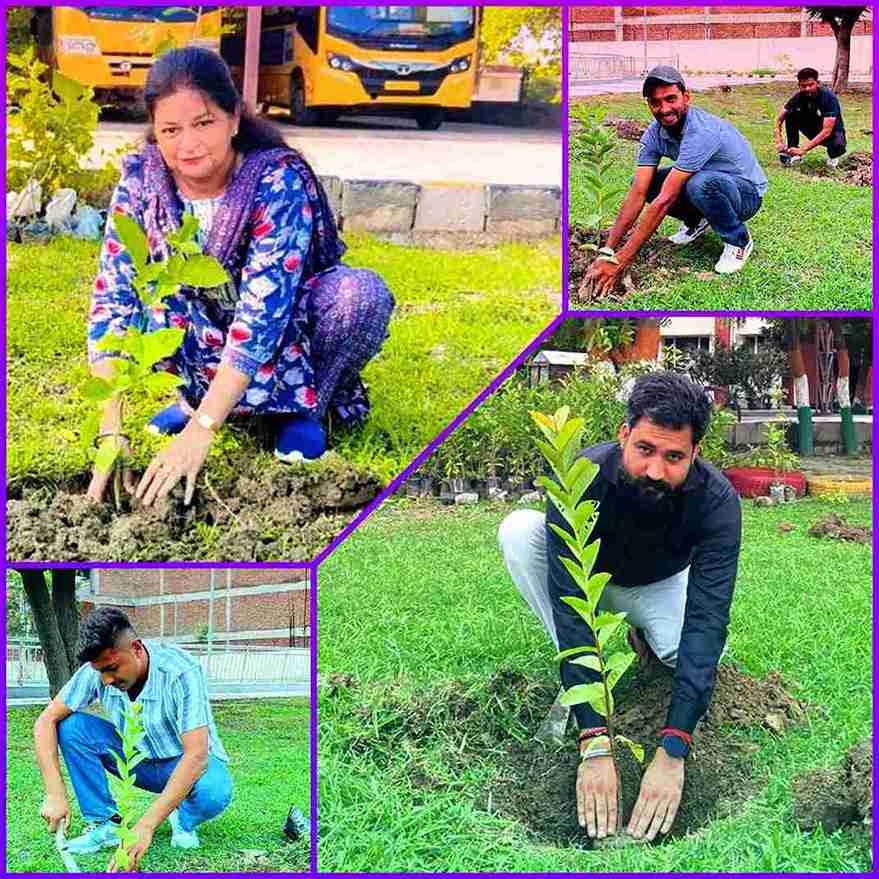 TREE PLANTATION